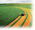 AGRICULTURE